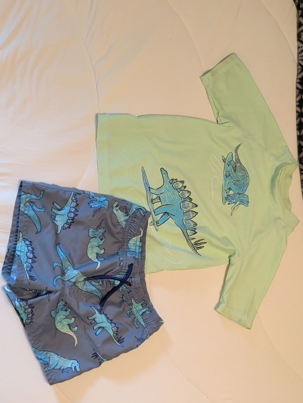 Carter's Dinosaur Rasguard and Swim Shorts